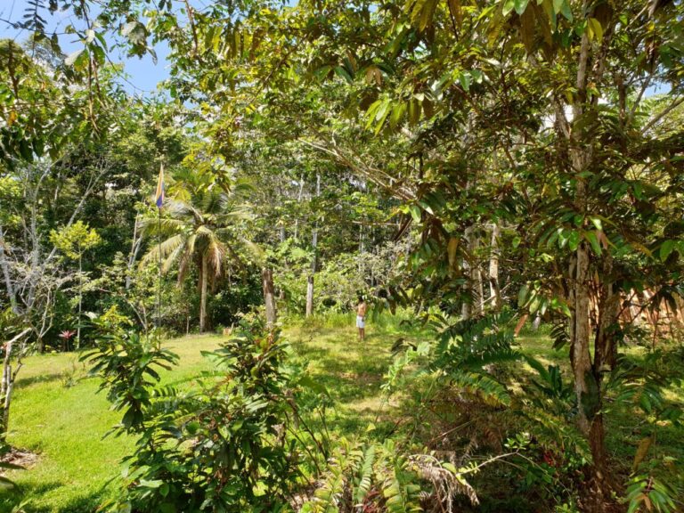 Jardín